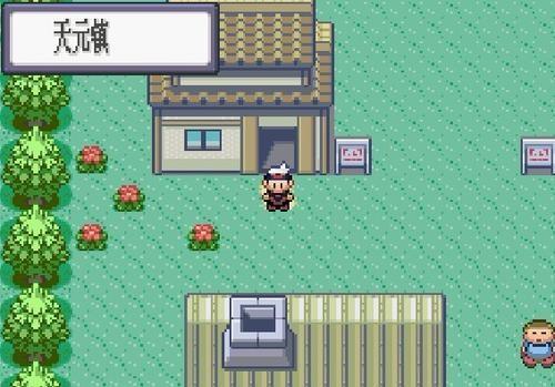 口袋妖怪红宝石386作弊版