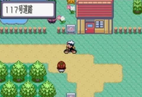 口袋妖怪红宝石386作弊版