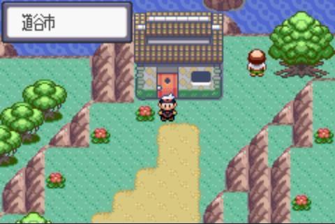 口袋妖怪红宝石386作弊版