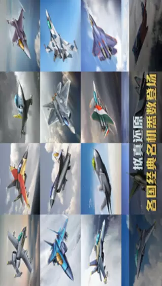 空战双鹰手机版