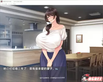 爱妻的秘密录像