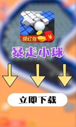 暴走小球2游戏破解版