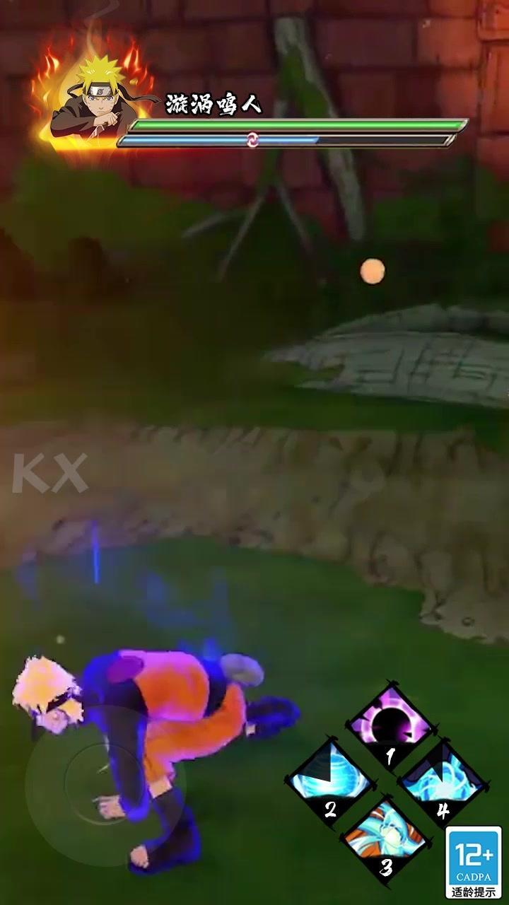 忍道火的意志免费版