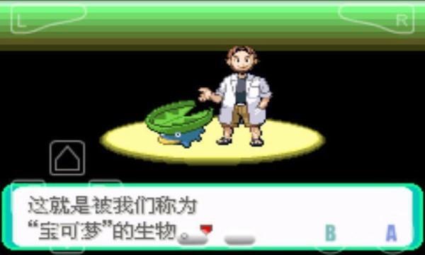 口袋妖怪绿宝石小智版