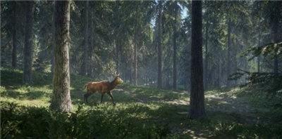 猎人荒野的召唤