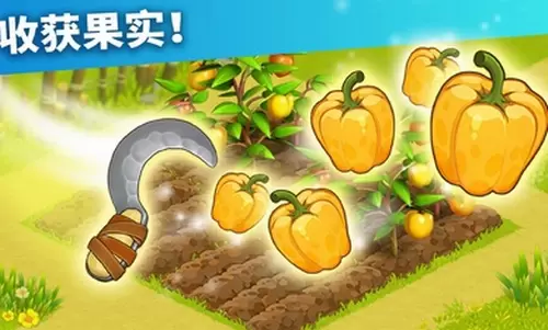 家庭岛免谷歌版