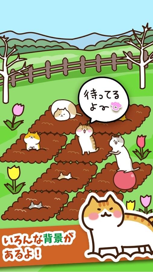 猫咪田园