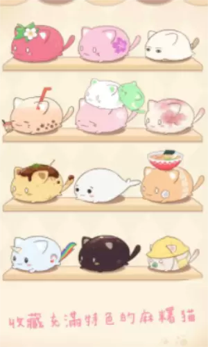 麻糬猫收藏