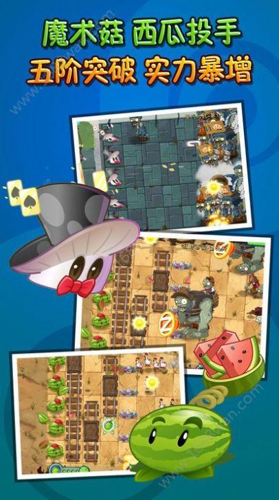 BT最新版雷蘑菇