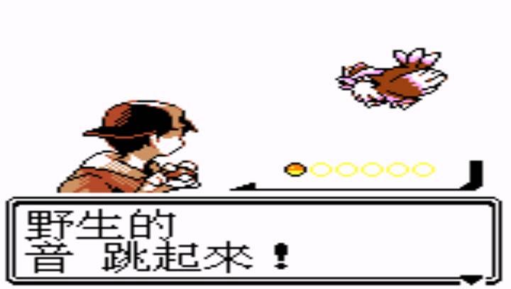 口袋妖怪魂银版