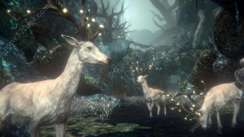 帕斯卡契约画质助手