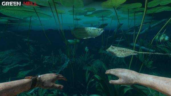 绿色地狱中文版