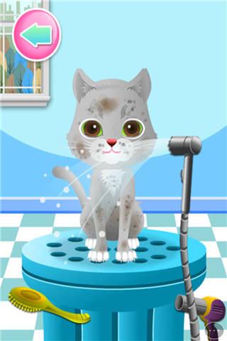 焕然一新的宠物小游戏