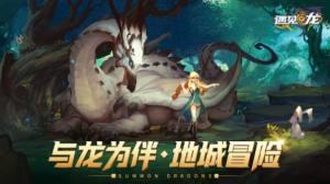 遇见龙之地城冒险手游免费版