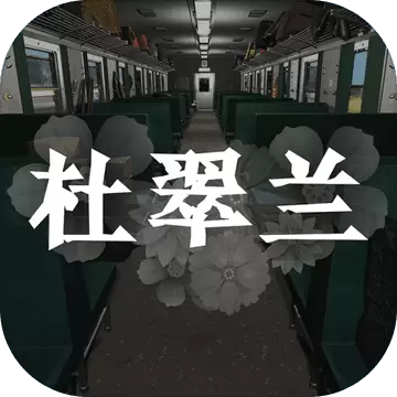 孙美琪疑案杜翠兰游戏