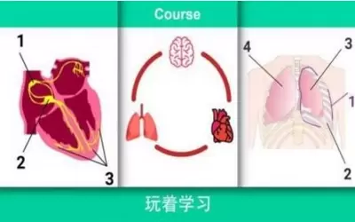 现实医疗模拟器