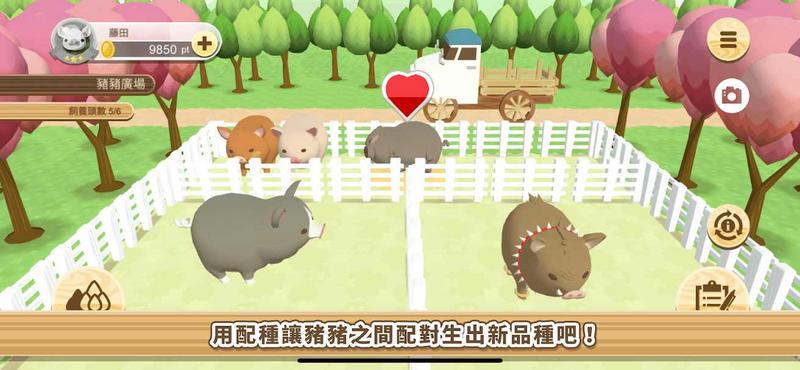 养猪场3D最新修改版