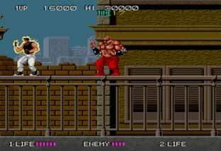 龙行忍者无敌版