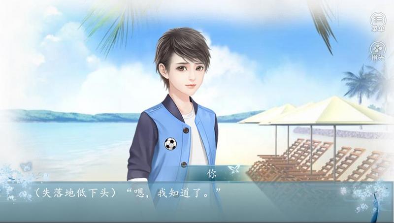 NPC成长计划附攻略橙光修改版