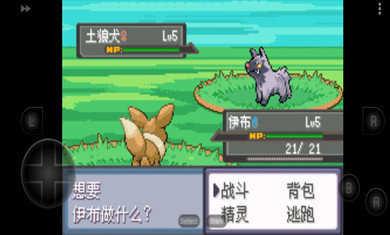 口袋妖怪四季之约金手指代码