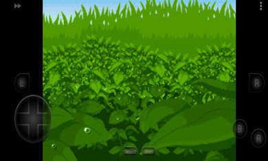 口袋妖怪四季之约金手指代码