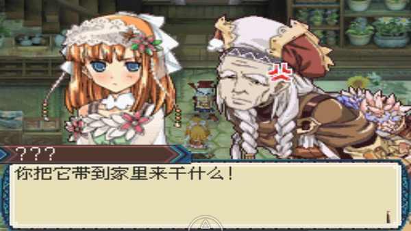 牧场物语符文工房3破解版