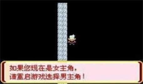 口袋妖怪迷失夜6中文版