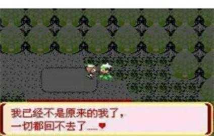 口袋妖怪迷失夜6中文版