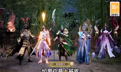 霸三国无双正式版