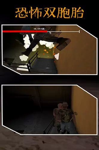 恐怖双胞胎