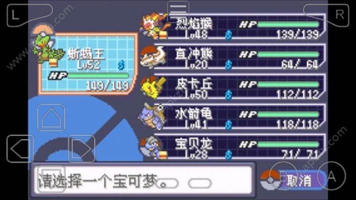 口袋妖怪究极绿宝石