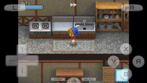 牧场物语风之集市最新版