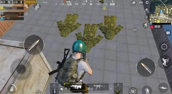 和平精英全皮肤美化包不封号