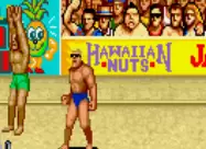 美国沙滩排球锦标赛 + 热血足球联盟