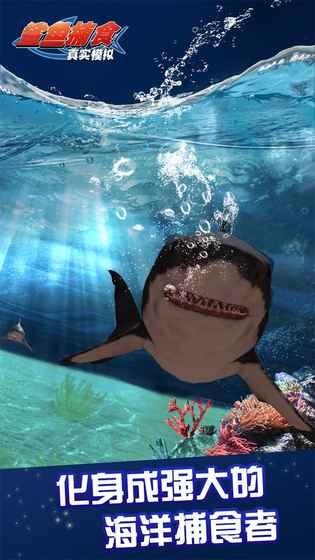 真实模拟鲨鱼捕食