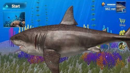 巨齿鲨模拟器