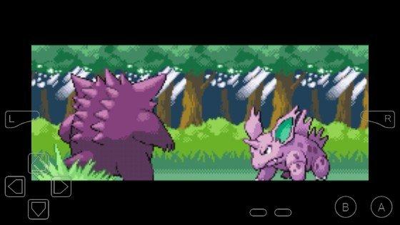 口袋妖怪黑色前兆