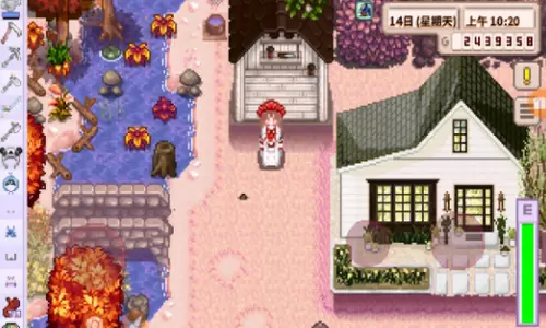 星露谷物语法师结婚mod