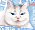 网游之我是你的猫啊修改版