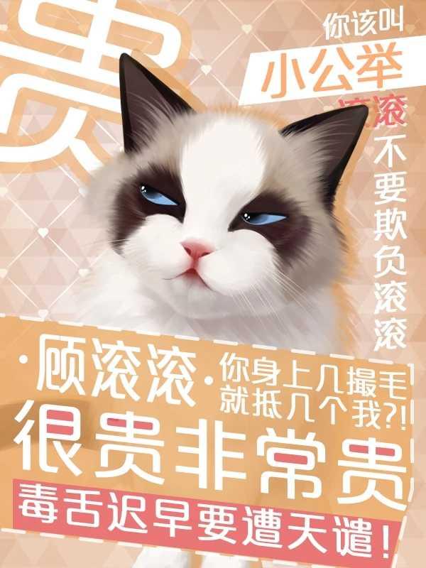 网游之我是你的猫啊修改版