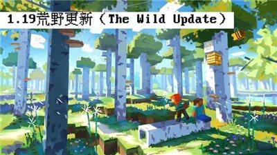 我的世界1.19版