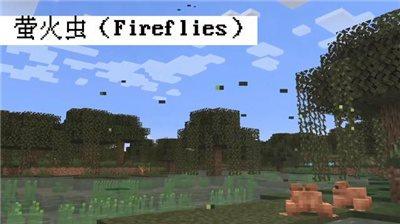 我的世界1.19版