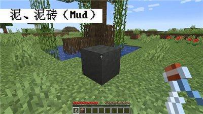我的世界1.19版