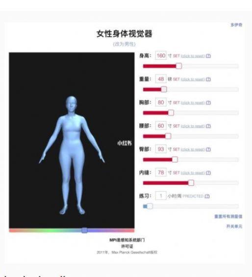 人体可视化仪