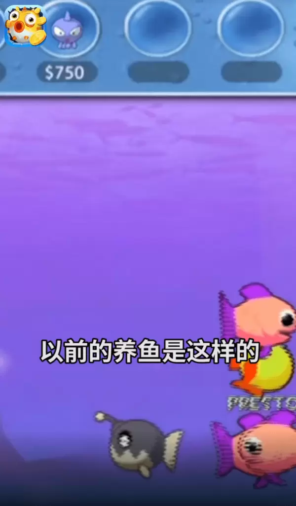 欢乐赚金鱼红包版最新版