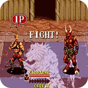 街机异种角斗士无敌版