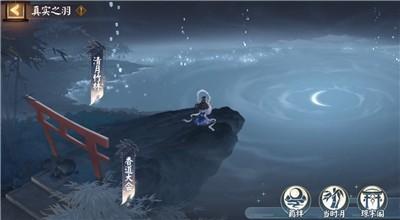 阴阳师真实之羽版本