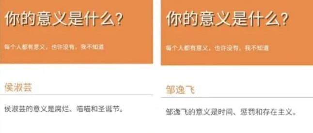 你的意义是什么