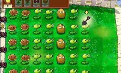 植物大战僵尸勇士