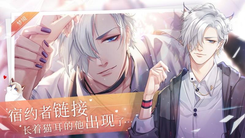 猫之宿约者测试